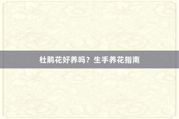 杜鹃花好养吗？生手养花指南