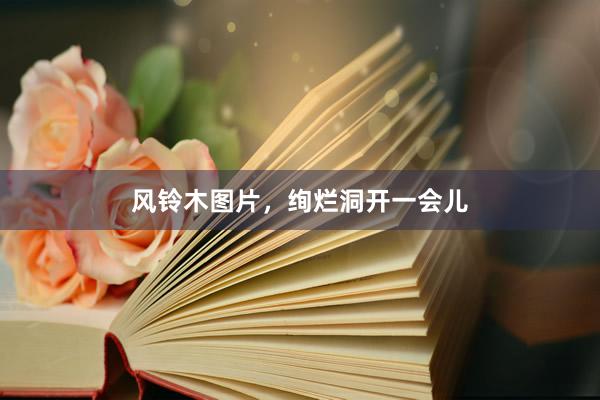 风铃木图片，绚烂洞开一会儿