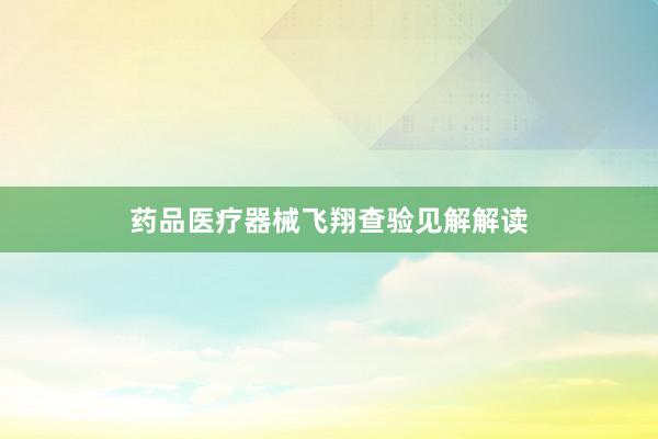药品医疗器械飞翔查验见解解读