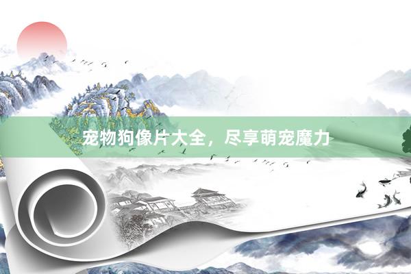 宠物狗像片大全，尽享萌宠魔力