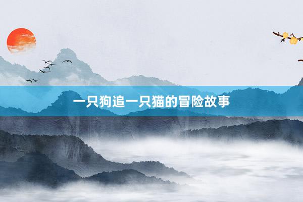 一只狗追一只猫的冒险故事