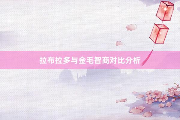 拉布拉多与金毛智商对比分析