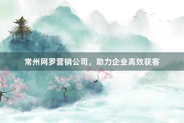常州网罗营销公司，助力企业高效获客